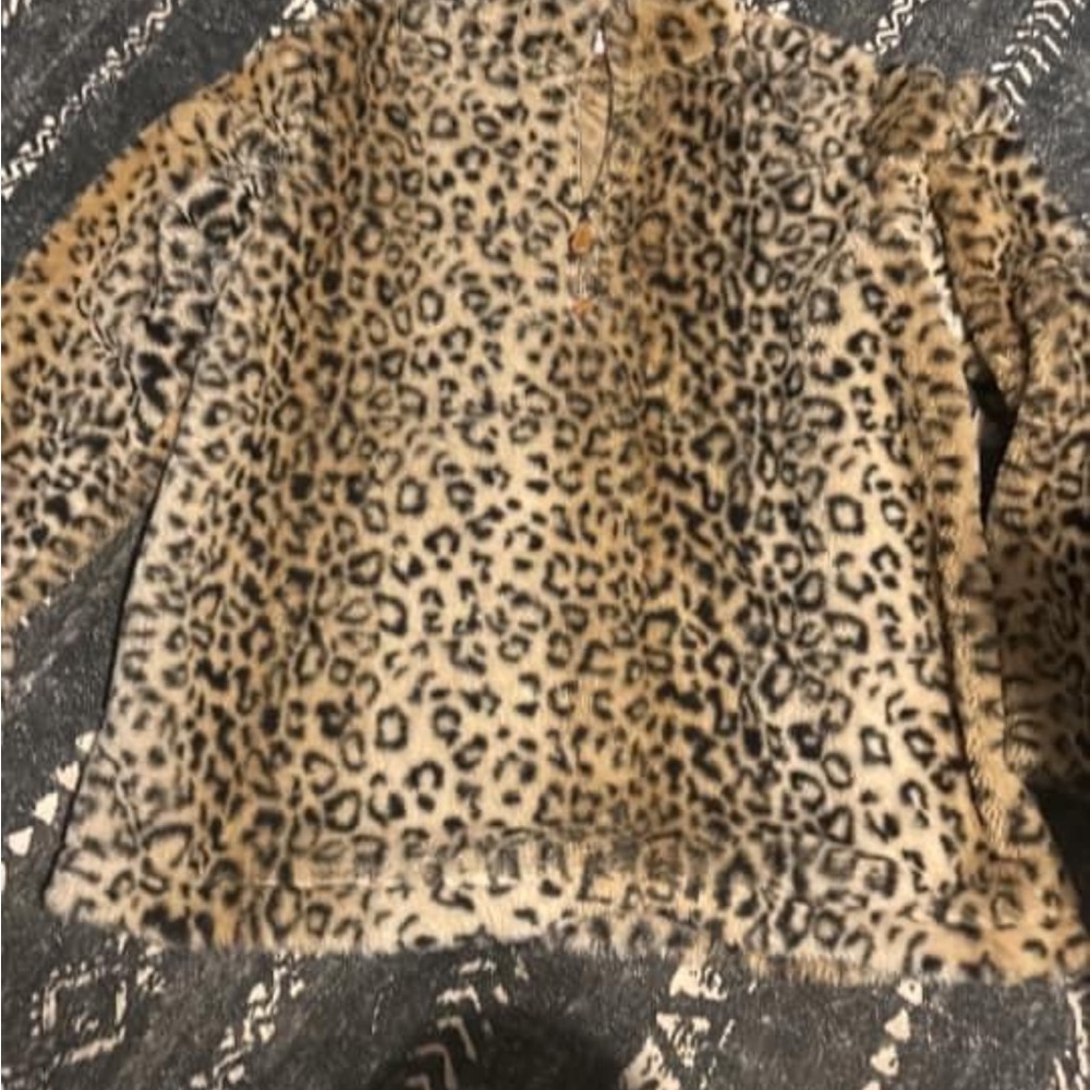 Cheetah